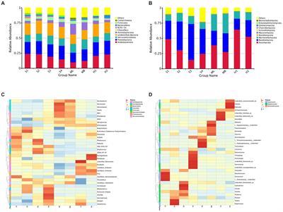 Soil microbial diversity under different types of interference in birch secondary forest in the Greater Khingan Mountains in China